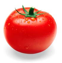 A tomato